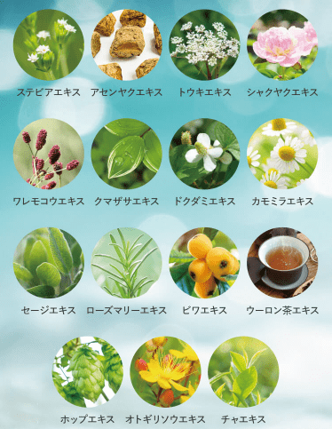 キレイキ(KIREIKI)の効果で口臭が消える理由②15種類もの植物由来成分
